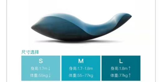 小海豚 商品图1