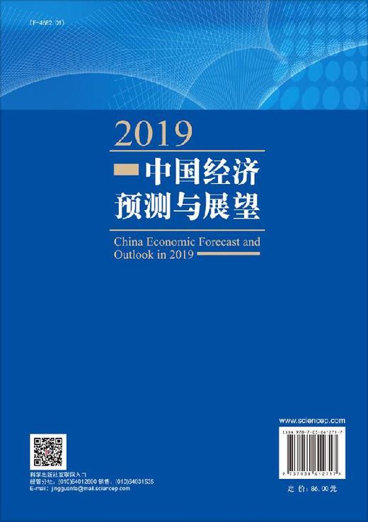 2019中国经济预测与展望 商品图1