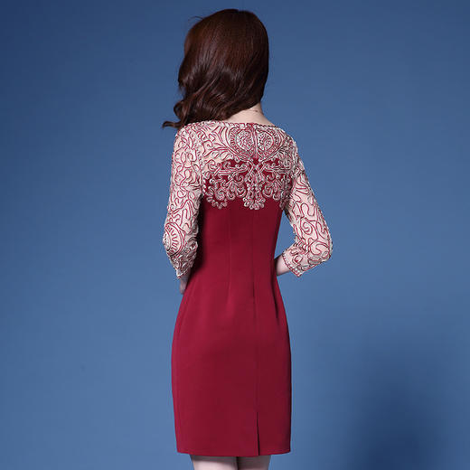 SL-Q4106新款春秋盘花重工刺绣花修身气质优雅包臀连衣裙 商品图4