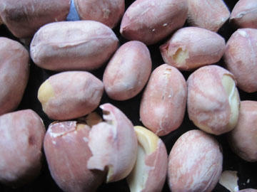 【7.9元/斤】五香花生米（1500280） 商品图1