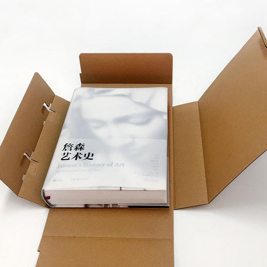 詹森艺术史 精装插图第7版 詹森 著 西方美术绘画雕塑史故事概论入门教材 贡布里希加德纳温迪嬷嬷 艺术评论与理论 商品图2