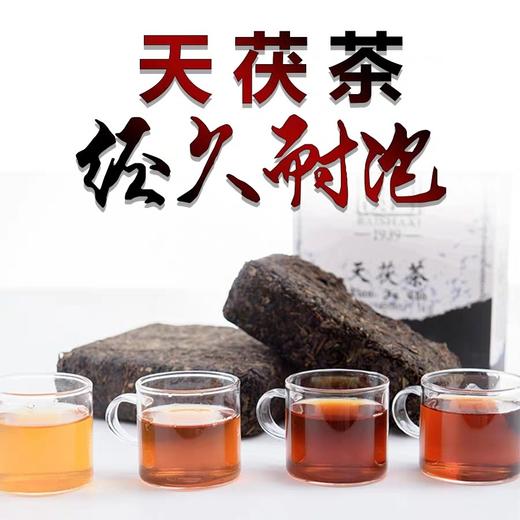 疯抢【11 🏆 11】 天茯茶1㎏（2016年）原价780，活动价390元 （💕赠品：花香老茶王/一罐/50克）限量30份。 商品图5