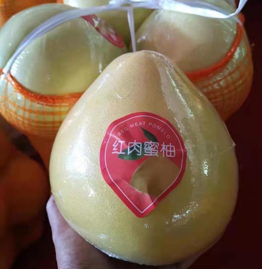 梅州蜜柚  1300g—1700g/个 商品图0