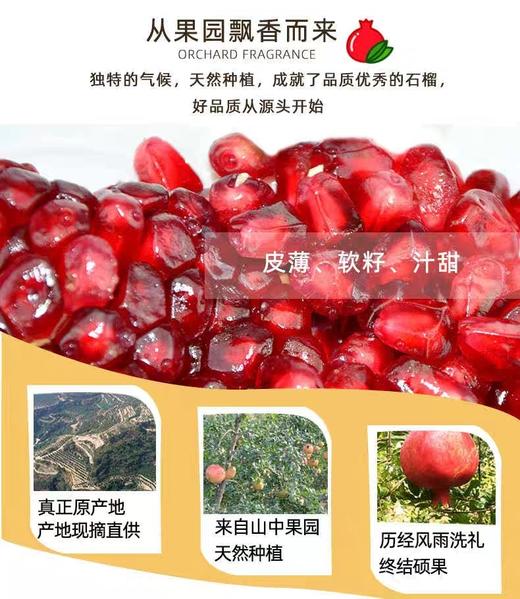 甘甜多汁四川突尼斯软籽石榴 商品图11