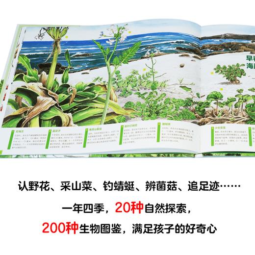 山野郊游图鉴  日本小学馆第58回儿童出版文化赏 商品图1