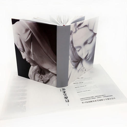 詹森艺术史 精装插图第7版 詹森 著 西方美术绘画雕塑史故事概论入门教材 贡布里希加德纳温迪嬷嬷 艺术评论与理论 商品图3