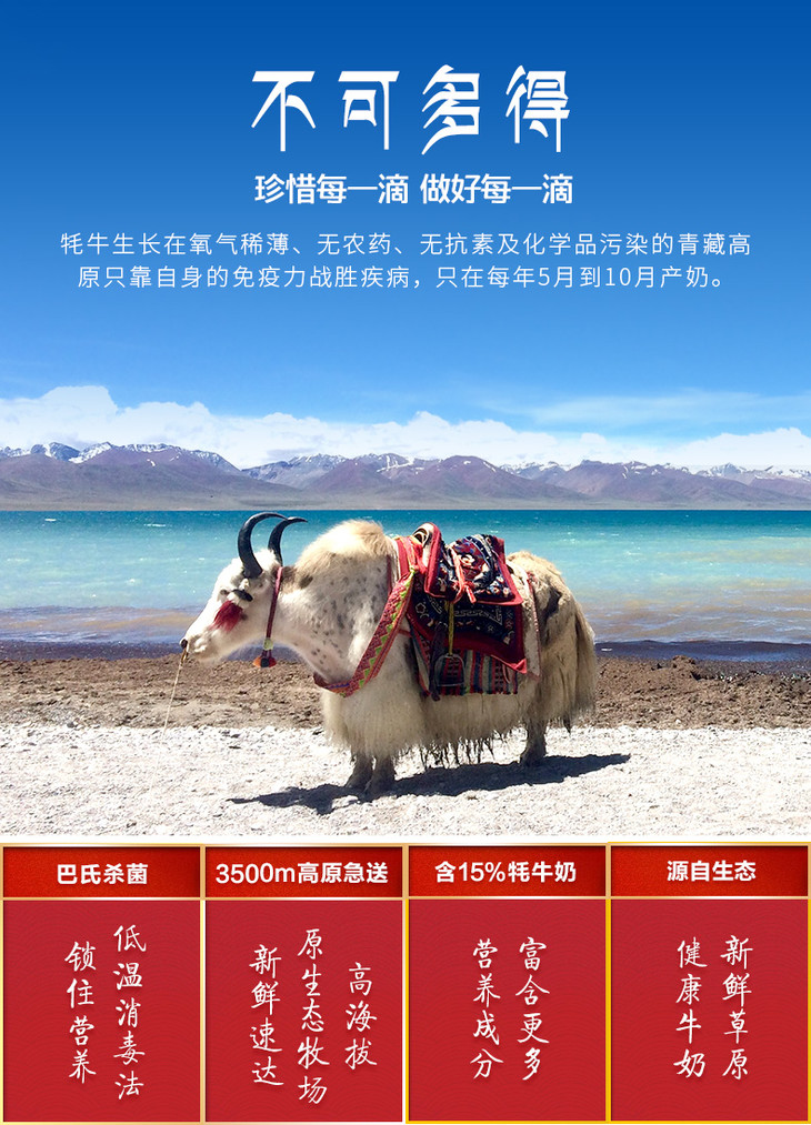 【牦牛鲜奶1l装季卡】【24瓶配送12次】青海湖鲜牦牛奶1l装 来自3500