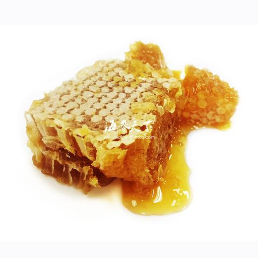 美国天然原生态蜂巢蜜【12盎司】【海参天下】 商品图0