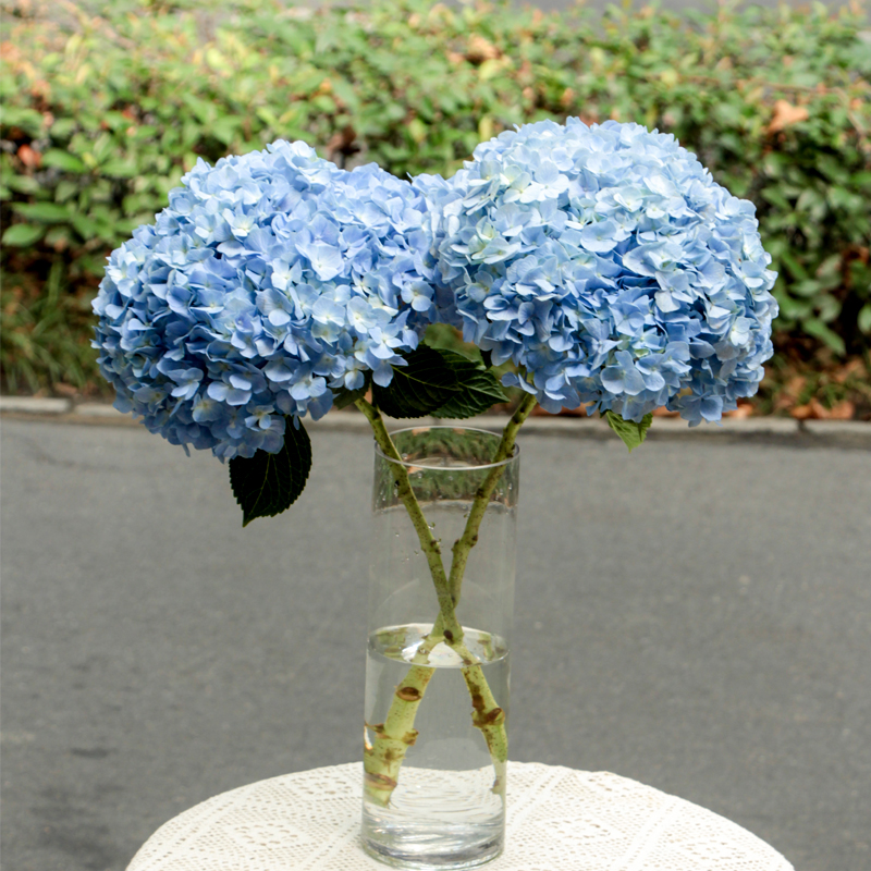 【周四团购】单枝绣球花39.8元  2人拼团