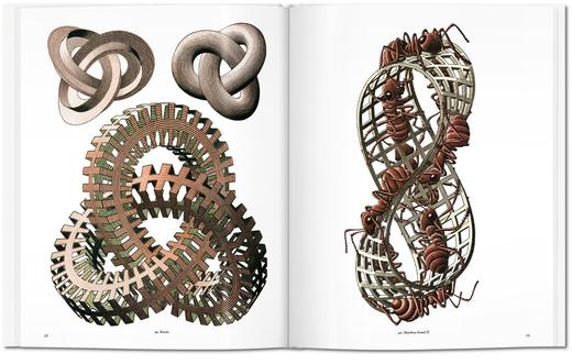 【中商原版】埃舍尔 英文原版 M.C. ESCHER 商品图4