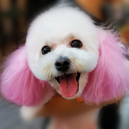 宠物染色香波-深粉色 500ml OPAWZ小爪印 商品图12