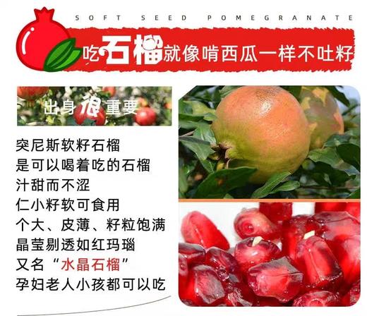 甘甜多汁四川突尼斯软籽石榴 商品图5