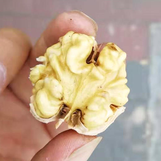 密云湿核桃1斤 商品图1