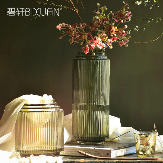 碧轩现代轻奢玻璃花瓶摆件 家居装饰品酒店样板间花器餐桌客厅插花瓶 商品图2