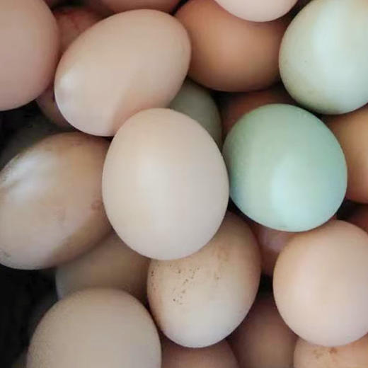 密云柴鸡蛋 商品图0