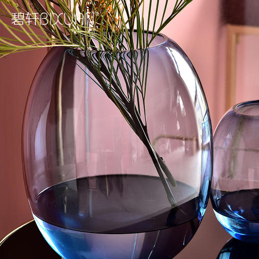 碧轩现代轻奢透明玻璃花瓶 餐厅客厅酒店会所卧室家居装饰摆件 商品图3
