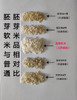 胚芽软米 天然留胚 商品缩略图3