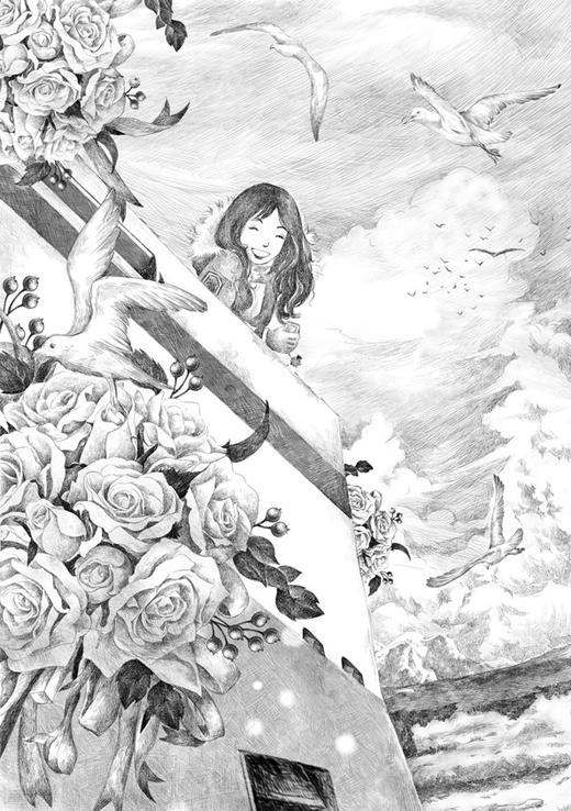 北极焰火 商品图1