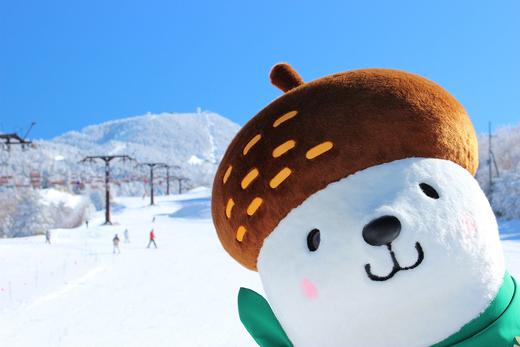 【定金】寒假班日本长野志贺高原6日5晚滑雪之旅1月17日出发 商品图9