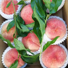 【一城帮一村】平谷大桃绿化久 5斤/份 商品缩略图1