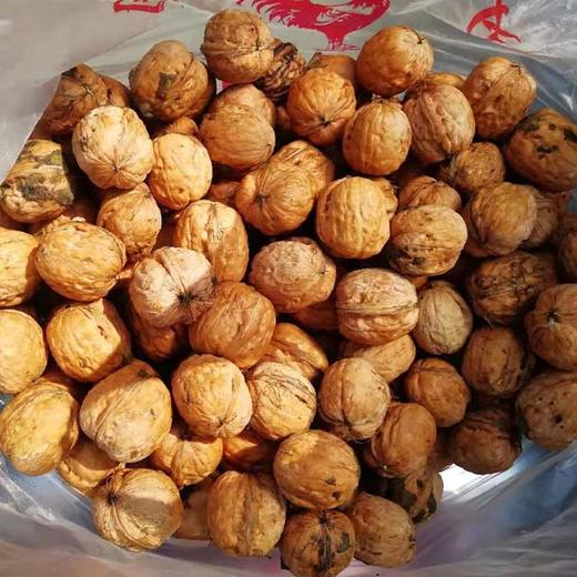 密云湿核桃1斤 商品图2