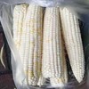 【一城帮一村】密云无公害黏玉米5根 商品缩略图2