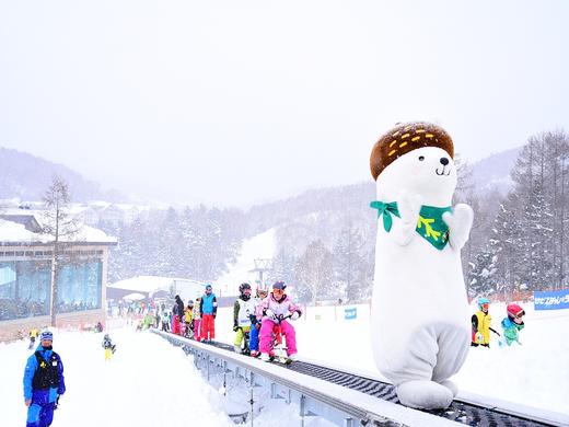 【定金】寒假班日本长野志贺高原6日5晚滑雪之旅1月17日出发 商品图1