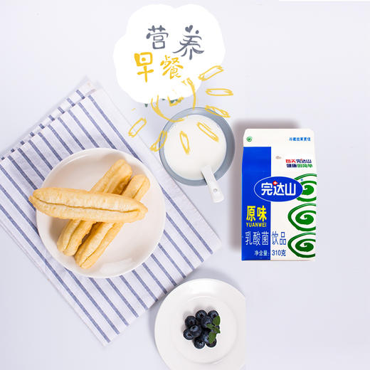 完达山原味乳酸菌饮品  310g*12盒 商品图1