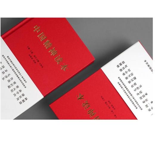 中国精神读本（百年来中华民族不畏艰险、自强崛起的精神源泉） 商品图2