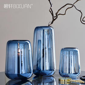 碧轩 现代轻奢透明玻璃花瓶摆件 家居装饰品摆设客厅餐厅插花器