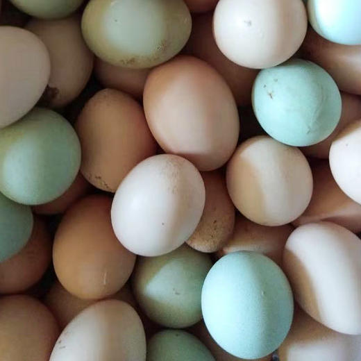 密云柴鸡蛋 商品图1