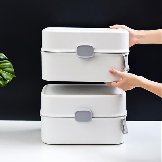 PL-204衣柜内衣收纳盒套装塑料家用文胸盒 商品图3