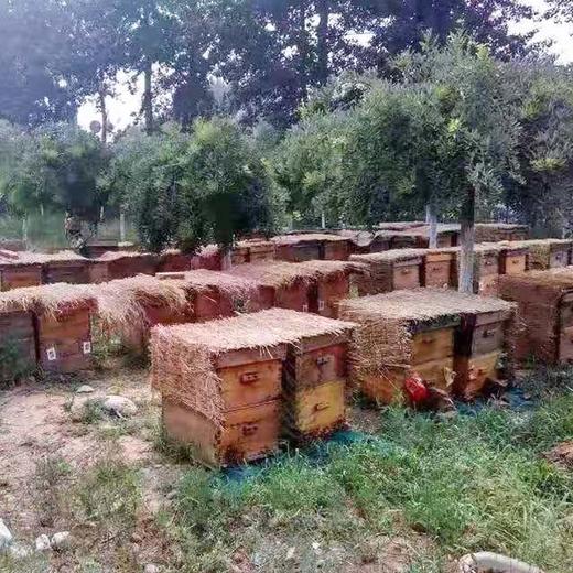 密云土蜂蜜2斤/罐 商品图3