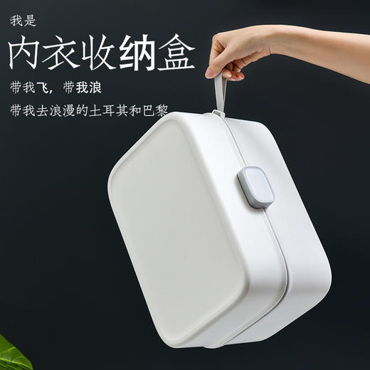 PL-204衣柜内衣收纳盒套装塑料家用文胸盒 商品图2