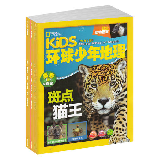 环球少年地理KiDS杂志订阅  全年订阅 共12期 每月快递 6-12岁儿童科普百科书籍 美国国家地理少儿版版权合作 商品图2