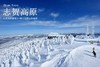 【定金】寒假班日本长野志贺高原6日5晚滑雪之旅1月17日出发 商品缩略图8