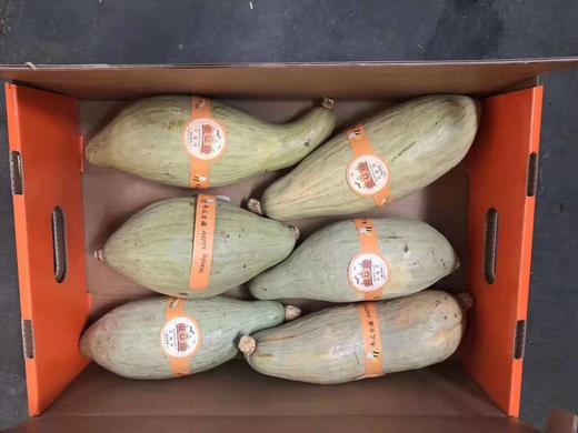 新疆 初丑南瓜  粉糯、沙软的口感  自带栗子香味【一箱3-4个】 商品图1