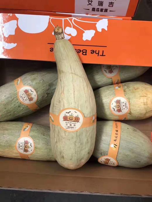新疆 初丑南瓜  粉糯、沙软的口感  自带栗子香味【一箱3-4个】 商品图0
