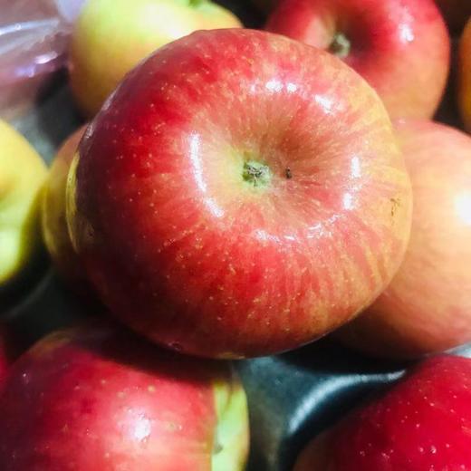 【新西兰丹烁苹果 】真心甜，小巧可爱，香甜脆爽，果香浓郁，好吃不贵！ 商品图0