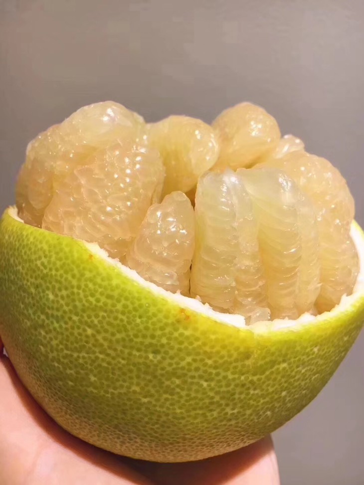 台湾老树文旦来自台湾的柚子