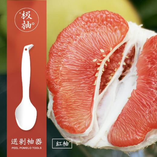 [枫颐]极柚红肉蜜柚 正宗平和琯溪蜜柚 一个有梦想的柚子 商品图0