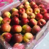【新西兰丹烁苹果 】真心甜，小巧可爱，香甜脆爽，果香浓郁，好吃不贵！ 商品缩略图2