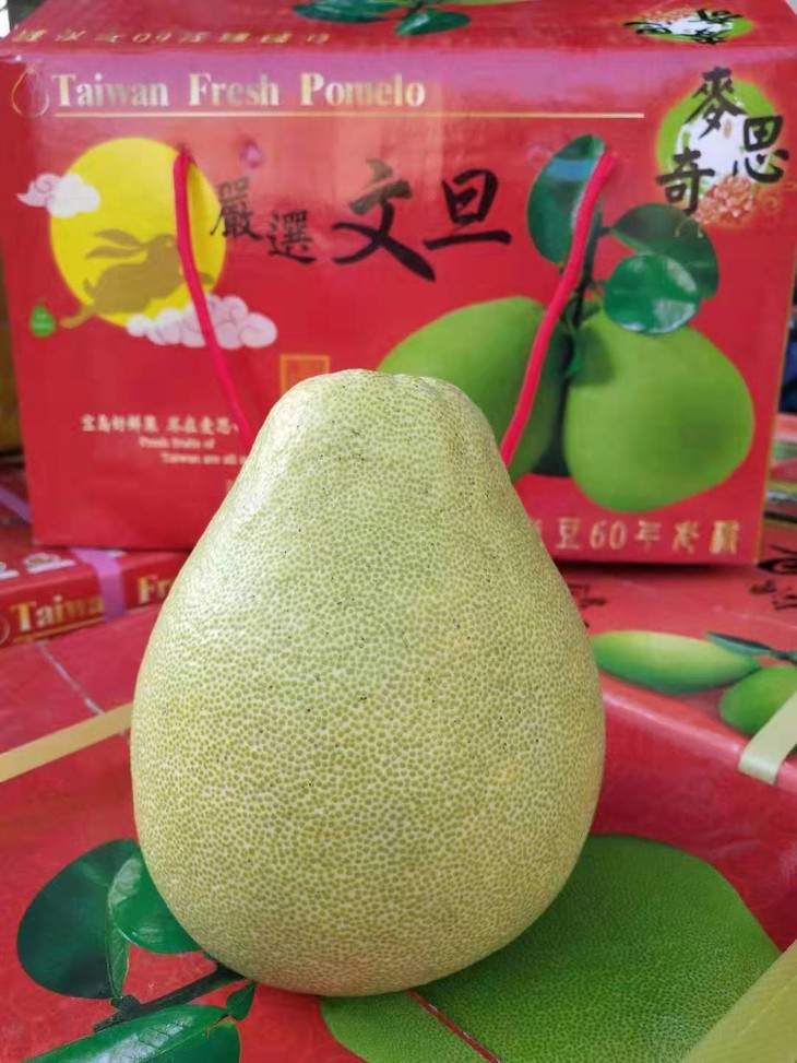 台湾老树文旦来自台湾的柚子