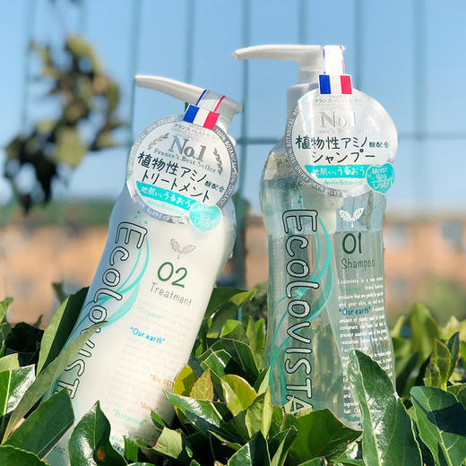 日本进口植寇希氨基酸洗发水买一送一