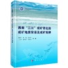 西南“三江”成矿带北段成矿地质背景及成矿规律 商品缩略图0