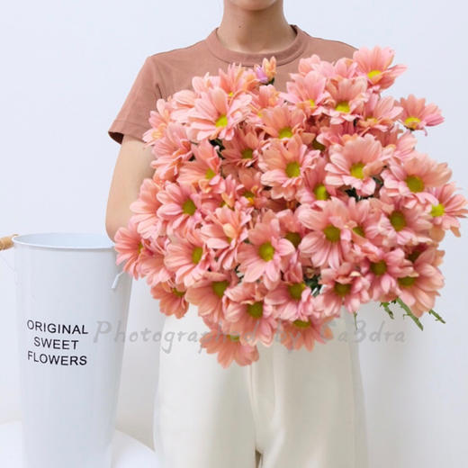 网红花材三文鱼小雏菊10支 商品图2