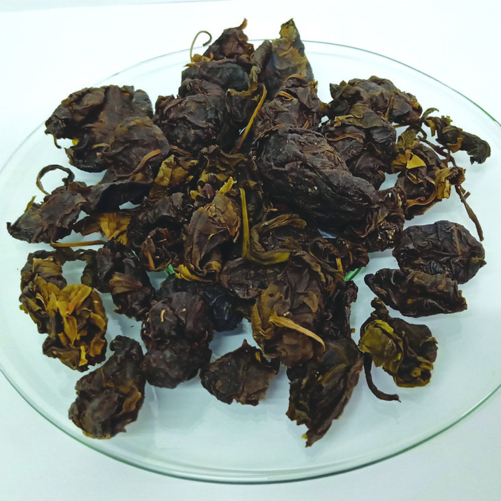 野生甜茶 甜茶叶