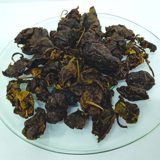 野生甜茶 甜茶叶