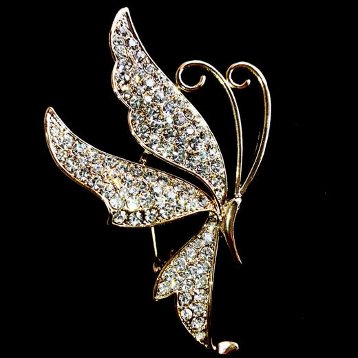 J5100038颈袖添香女式新款2019 蝴蝶胸花 日韩配饰水晶礼服胸针J5100038 商品图0