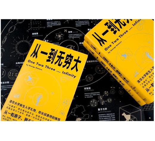 从一到无穷大（清华大学新生礼物，校长邱勇推荐！从一粒原子到无穷宇宙，一本书汇集人类认识世界、探索宇宙的方方面面） 商品图4